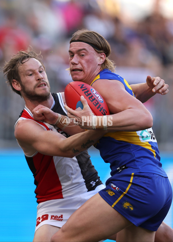 AFL 2024 Round 12 - West Coast v St Kilda - A-49883772
