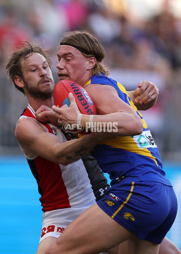 AFL 2024 Round 12 - West Coast v St Kilda - A-49883774