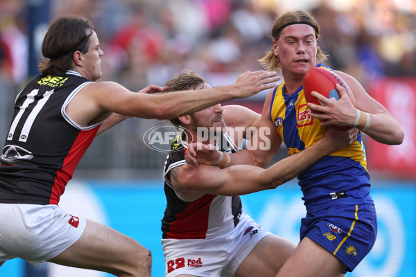 AFL 2024 Round 12 - West Coast v St Kilda - A-49883776