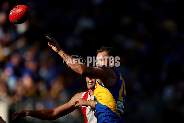 AFL 2024 Round 12 - West Coast v St Kilda - A-49883781