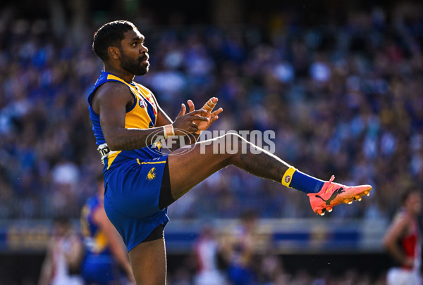 AFL 2024 Round 12 - West Coast v St Kilda - A-49886329
