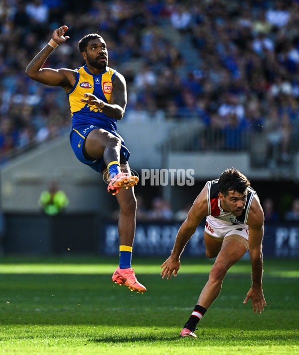 AFL 2024 Round 12 - West Coast v St Kilda - A-49886332