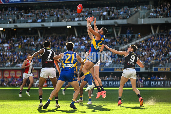 AFL 2024 Round 12 - West Coast v St Kilda - A-49886333