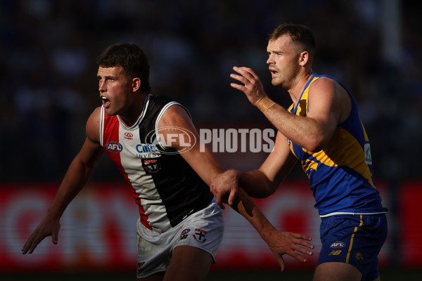 AFL 2024 Round 12 - West Coast v St Kilda - A-49886394