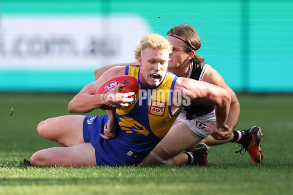 AFL 2024 Round 12 - West Coast v St Kilda - A-49887059