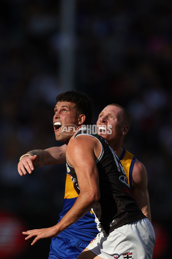 AFL 2024 Round 12 - West Coast v St Kilda - A-49887081