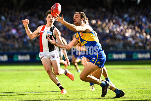 AFL 2024 Round 12 - West Coast v St Kilda - A-49887084