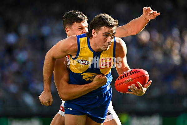 AFL 2024 Round 12 - West Coast v St Kilda - A-49887085