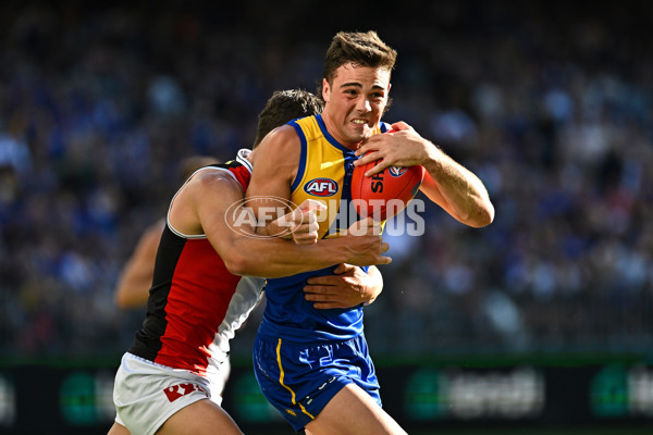 AFL 2024 Round 12 - West Coast v St Kilda - A-49887086
