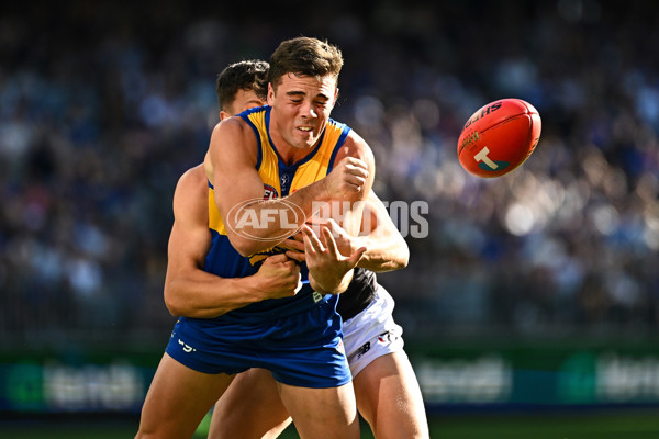 AFL 2024 Round 12 - West Coast v St Kilda - A-49887089