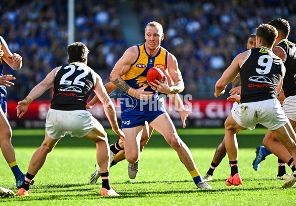 AFL 2024 Round 12 - West Coast v St Kilda - A-49887096