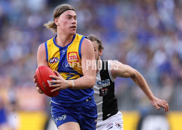 AFL 2024 Round 12 - West Coast v St Kilda - A-49887113