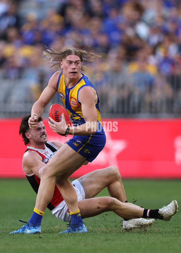 AFL 2024 Round 12 - West Coast v St Kilda - A-49887122