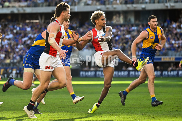 AFL 2024 Round 12 - West Coast v St Kilda - A-49887124