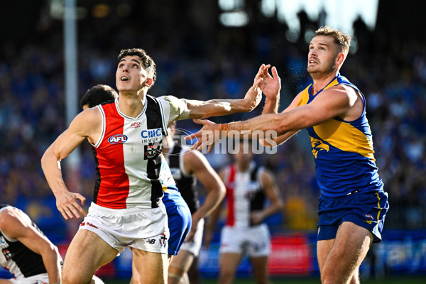 AFL 2024 Round 12 - West Coast v St Kilda - A-49887131