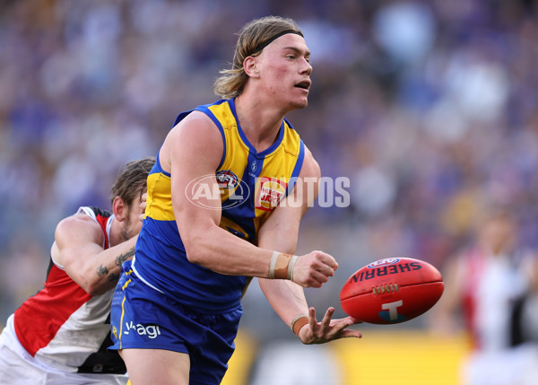 AFL 2024 Round 12 - West Coast v St Kilda - A-49888854