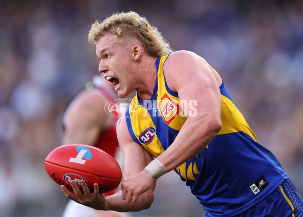 AFL 2024 Round 12 - West Coast v St Kilda - A-49888855