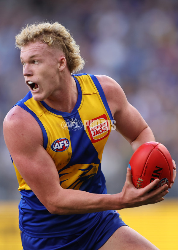AFL 2024 Round 12 - West Coast v St Kilda - A-49888858