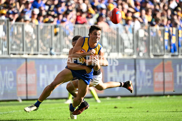 AFL 2024 Round 12 - West Coast v St Kilda - A-49888867