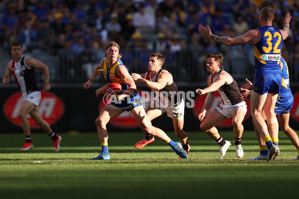 AFL 2024 Round 12 - West Coast v St Kilda - A-49888913
