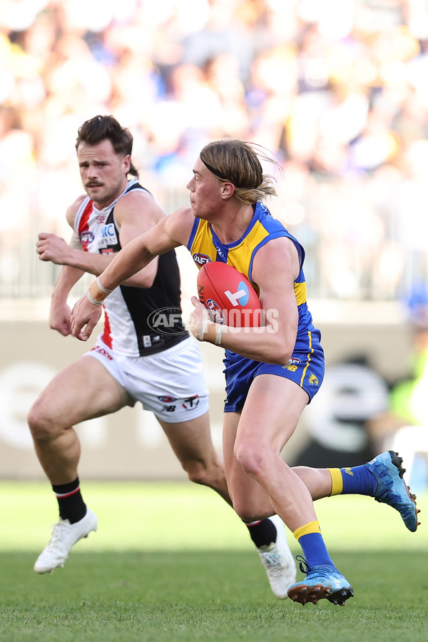 AFL 2024 Round 12 - West Coast v St Kilda - A-49888919