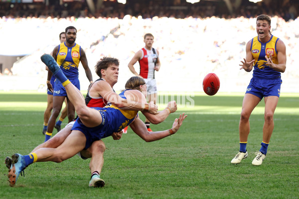 AFL 2024 Round 12 - West Coast v St Kilda - A-49888928