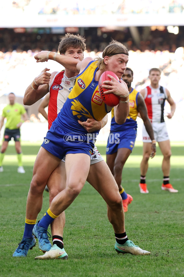 AFL 2024 Round 12 - West Coast v St Kilda - A-49888930