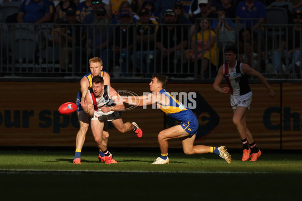 AFL 2024 Round 12 - West Coast v St Kilda - A-49888936