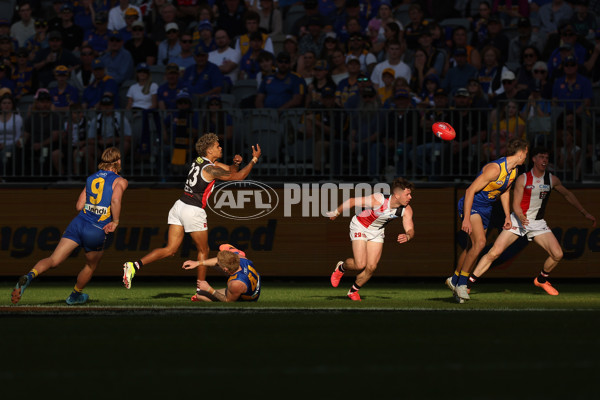 AFL 2024 Round 12 - West Coast v St Kilda - A-49888937