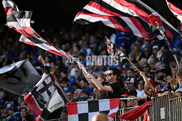 AFL 2024 Round 12 - West Coast v St Kilda - A-49888942