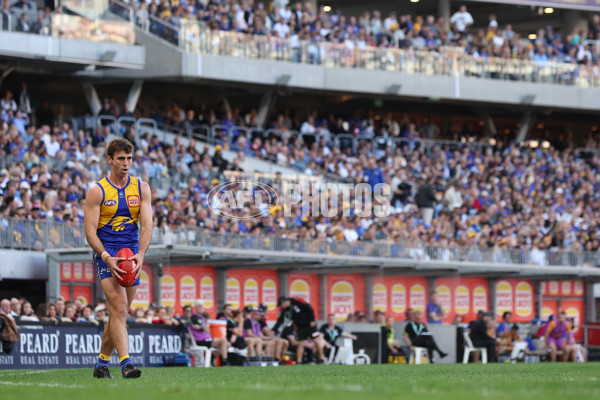 AFL 2024 Round 12 - West Coast v St Kilda - A-49889475
