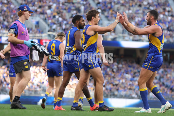 AFL 2024 Round 12 - West Coast v St Kilda - A-49889510
