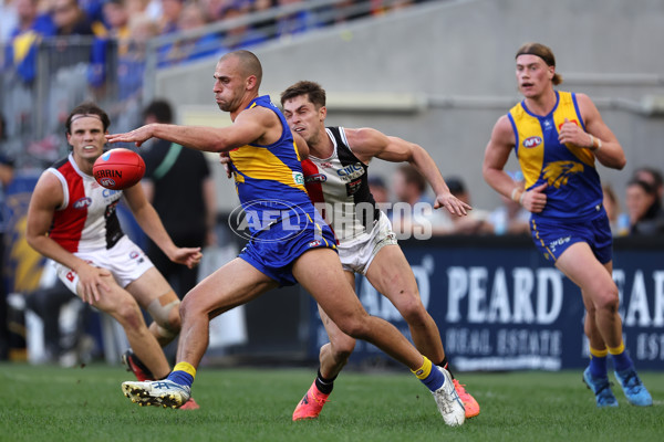 AFL 2024 Round 12 - West Coast v St Kilda - A-49889511