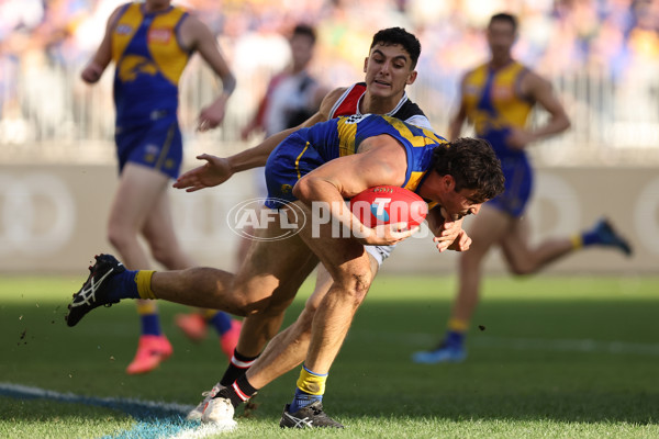 AFL 2024 Round 12 - West Coast v St Kilda - A-49889516