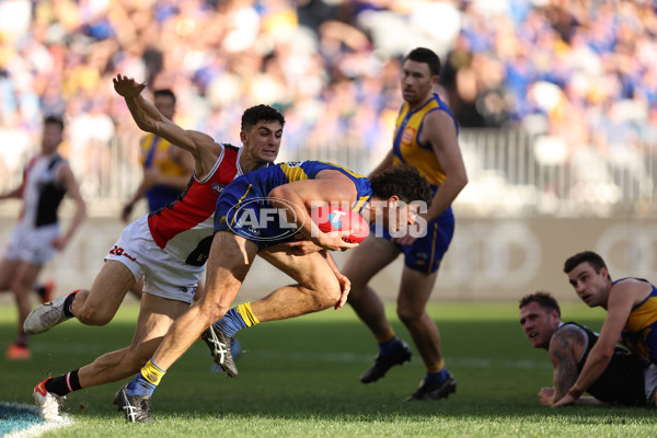 AFL 2024 Round 12 - West Coast v St Kilda - A-49889517