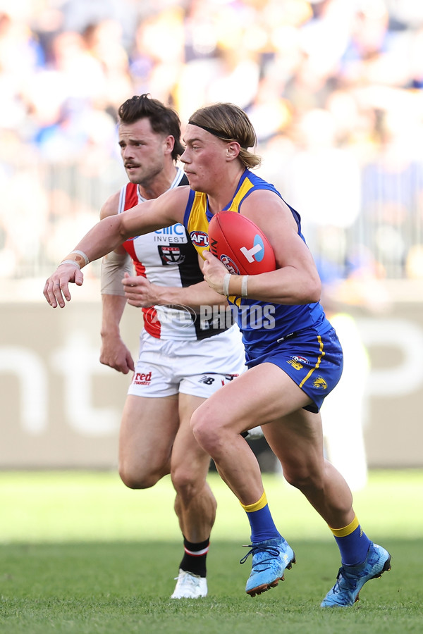 AFL 2024 Round 12 - West Coast v St Kilda - A-49889519