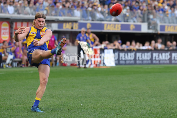 AFL 2024 Round 12 - West Coast v St Kilda - A-49889525