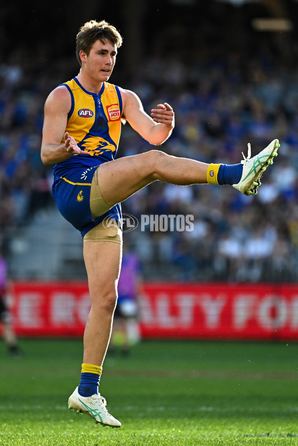 AFL 2024 Round 12 - West Coast v St Kilda - A-49889536