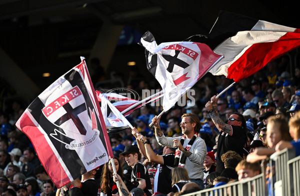 AFL 2024 Round 12 - West Coast v St Kilda - A-49889538