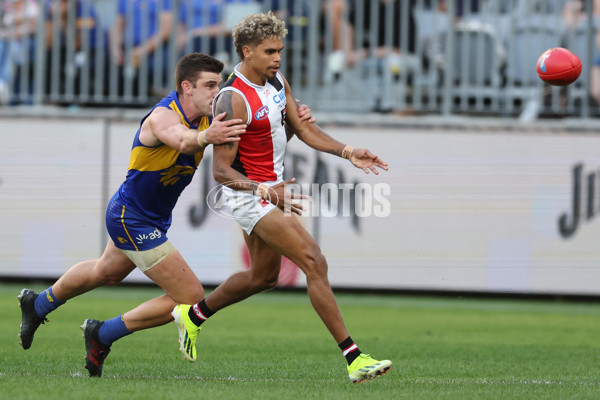 AFL 2024 Round 12 - West Coast v St Kilda - A-49889549