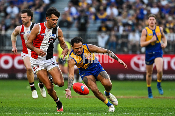 AFL 2024 Round 12 - West Coast v St Kilda - A-49891514