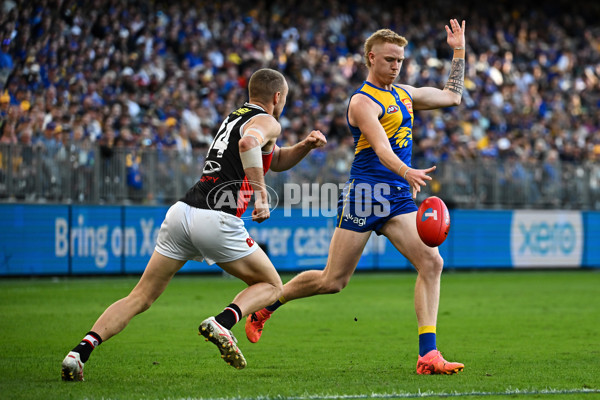 AFL 2024 Round 12 - West Coast v St Kilda - A-49891521