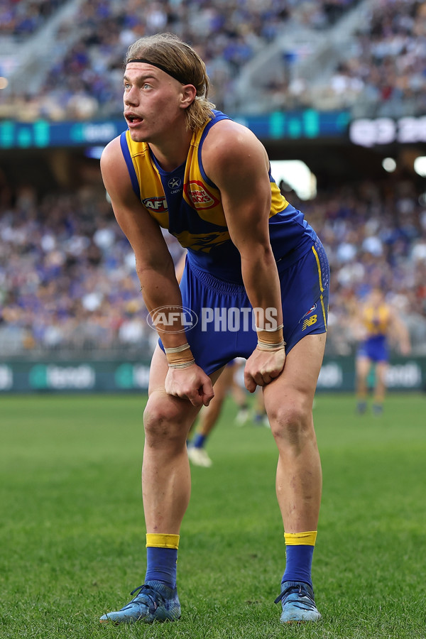 AFL 2024 Round 12 - West Coast v St Kilda - A-49891532
