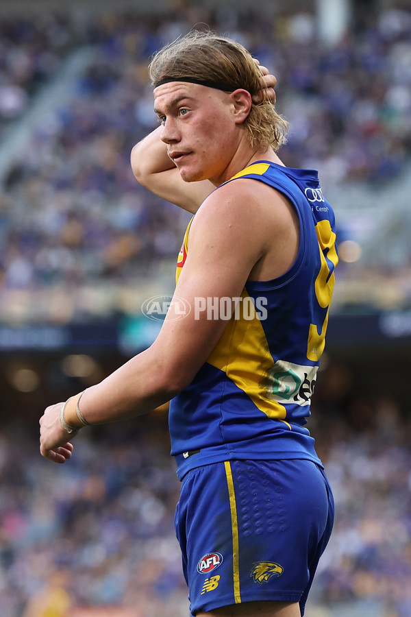 AFL 2024 Round 12 - West Coast v St Kilda - A-49891533