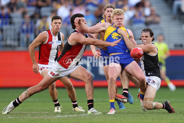 AFL 2024 Round 12 - West Coast v St Kilda - A-49891543