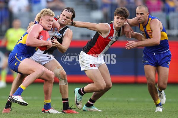 AFL 2024 Round 12 - West Coast v St Kilda - A-49891547