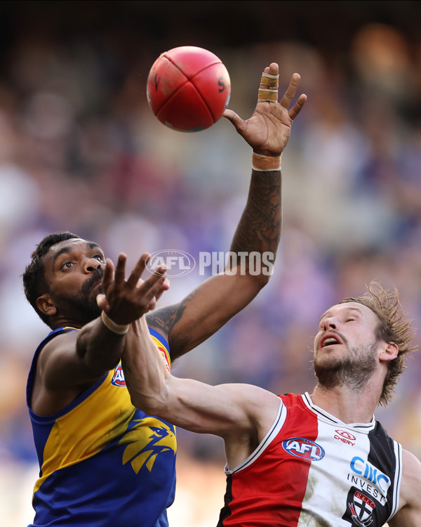 AFL 2024 Round 12 - West Coast v St Kilda - A-49891879