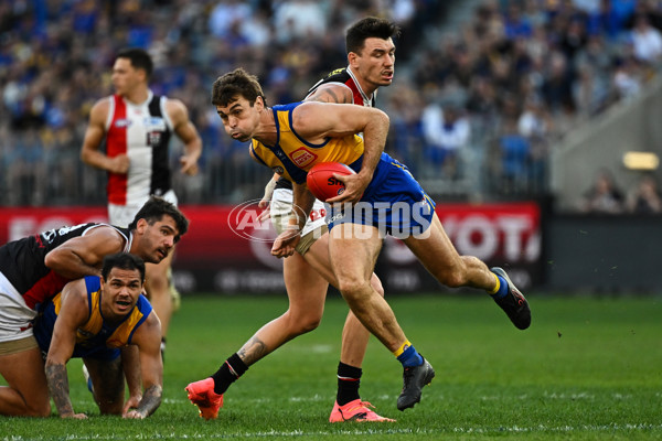 AFL 2024 Round 12 - West Coast v St Kilda - A-49891904