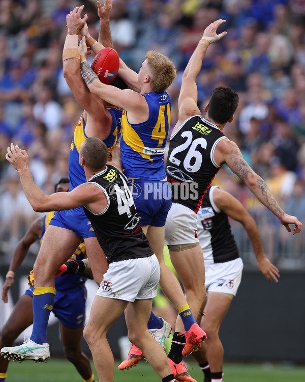 AFL 2024 Round 12 - West Coast v St Kilda - A-49891922