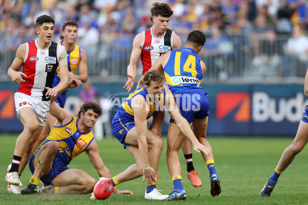 AFL 2024 Round 12 - West Coast v St Kilda - A-49891924
